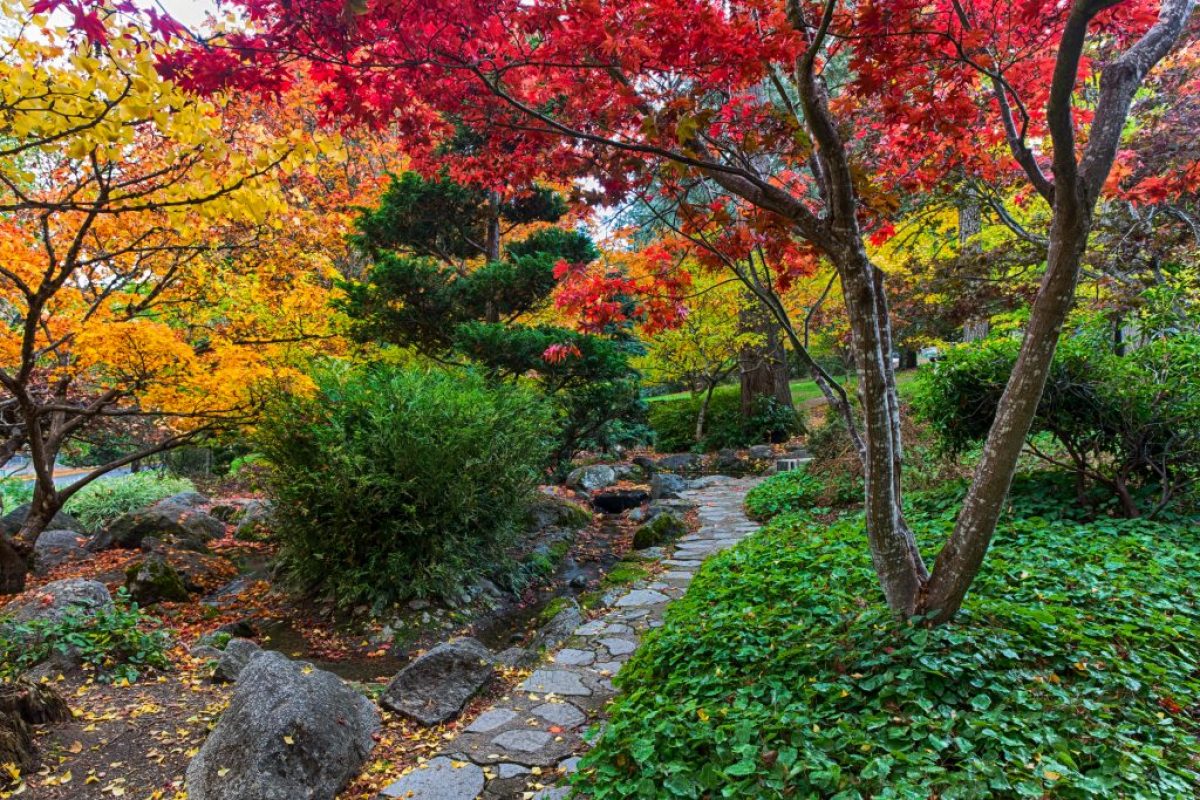 are dogs allowed in lithia park ashland oregon